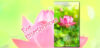 健康運UP!待ち受け画像♪ハートと身体を整える「蓮の花」守護符♪【無料】